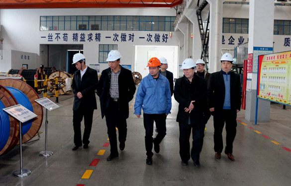 12月3日，丹江口市领导来金沙检测线路js95参观考察