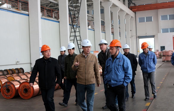 12月11日，溧阳经信局领导一行调研金沙检测线路js95西厂区三期工程建设情况并参观超高压生产基地